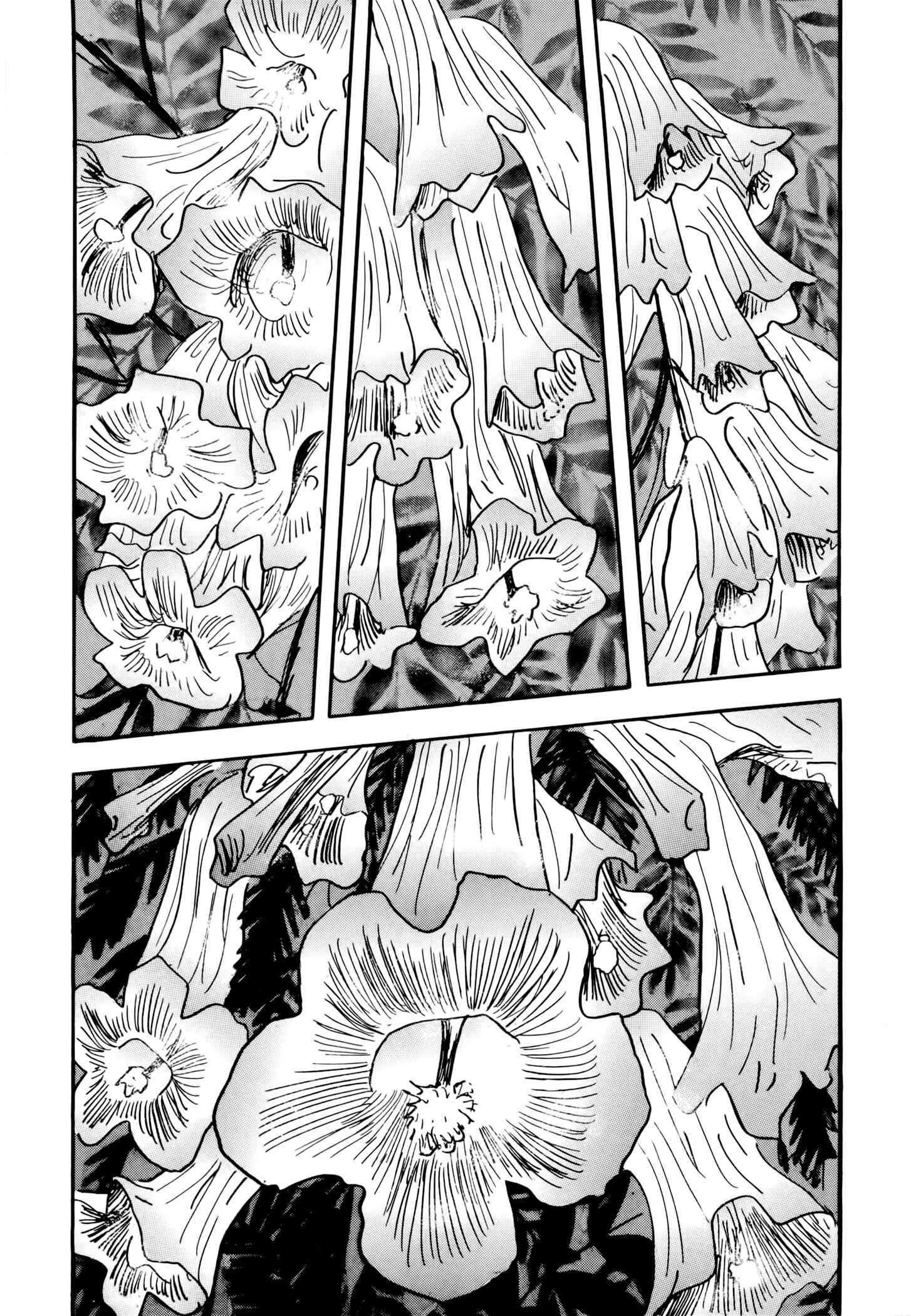 Page 41 Chapter 5 Jacarandá