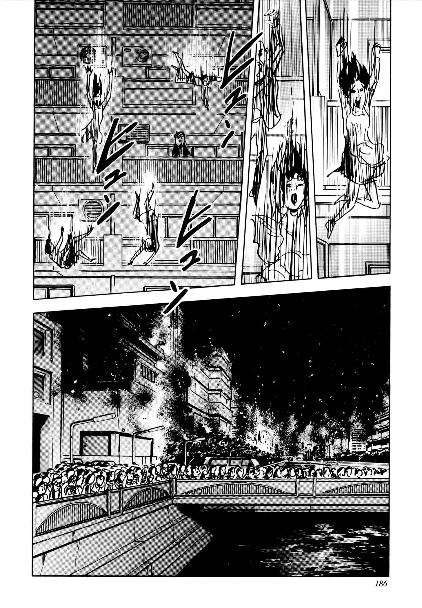 Page 6 Chapter 4 Jacarandá