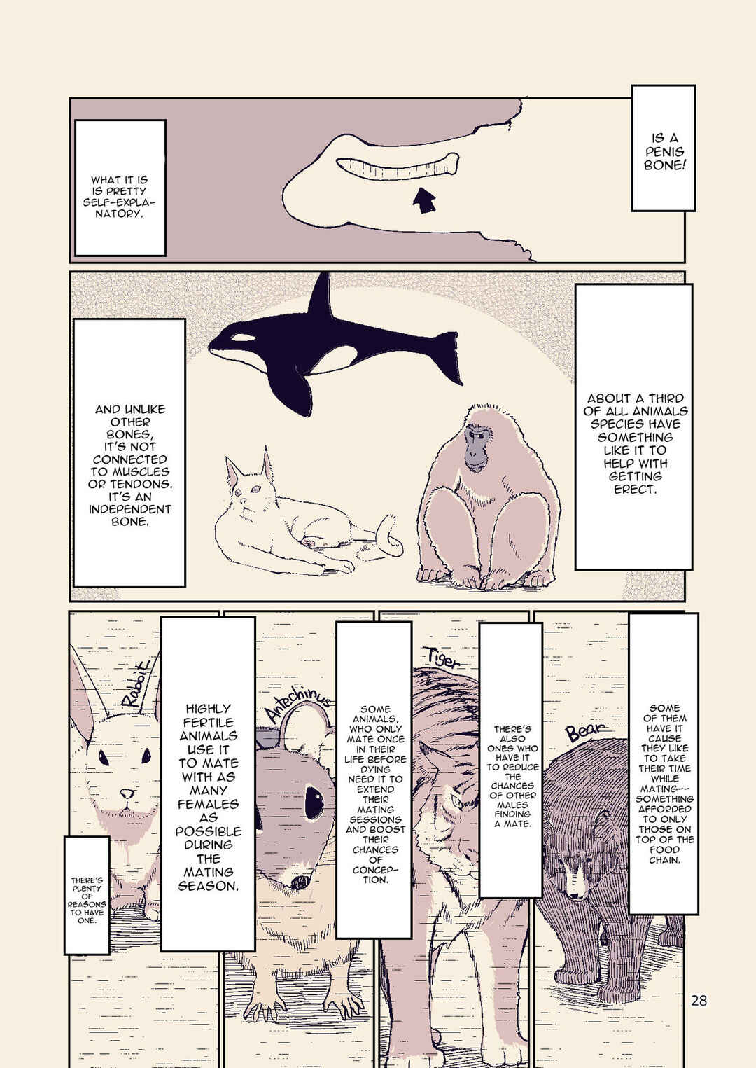 Page 28 Chapter 8 Dosukebe Elf no Ishukan Nikki