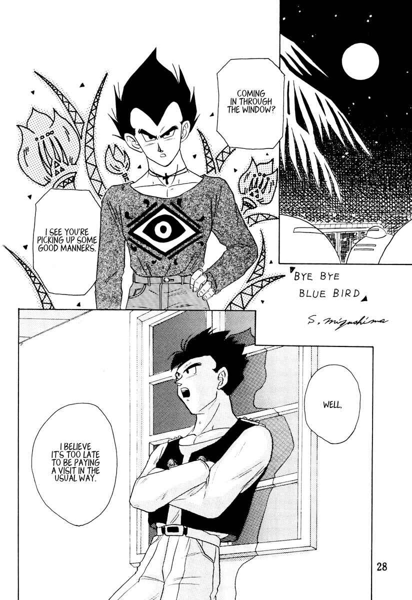 Page 28 Chapter Unknown_11cb Dragon Ball - Love Ya Heavenly Ecstasy (Doujinshi)