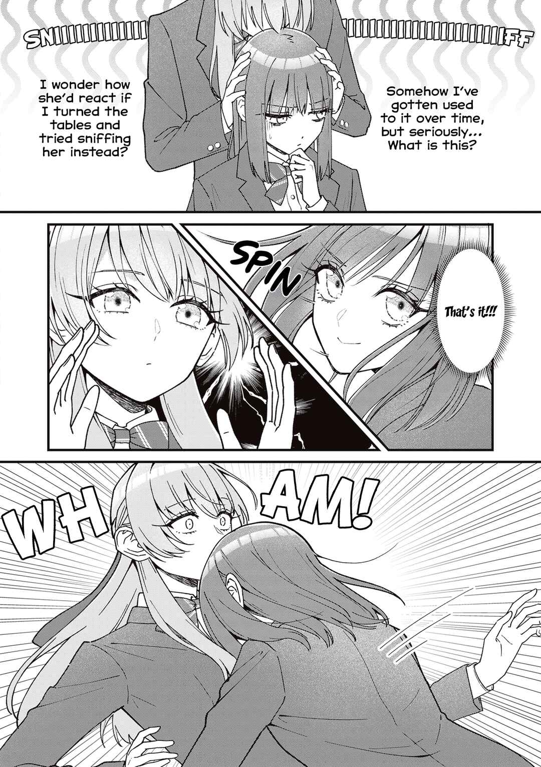 Page 2 Chapter 17 The Main Duties of the Vice President