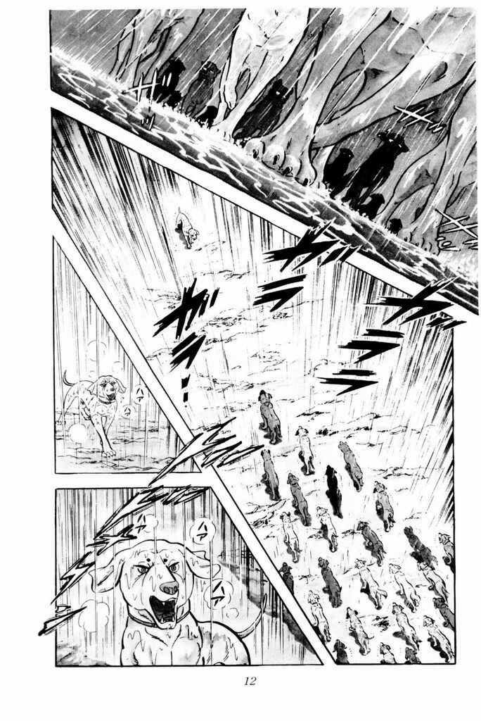 Page 15 Chapter 14 Silver Fang – The Shooting Star Gin –