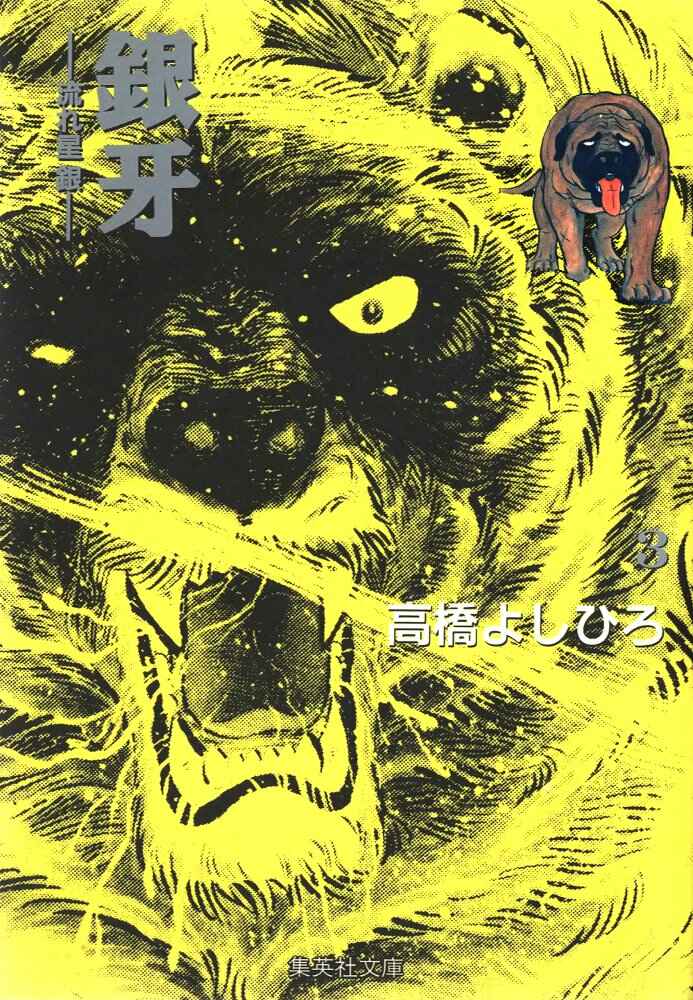 Page 3 Chapter 14 Silver Fang – The Shooting Star Gin –