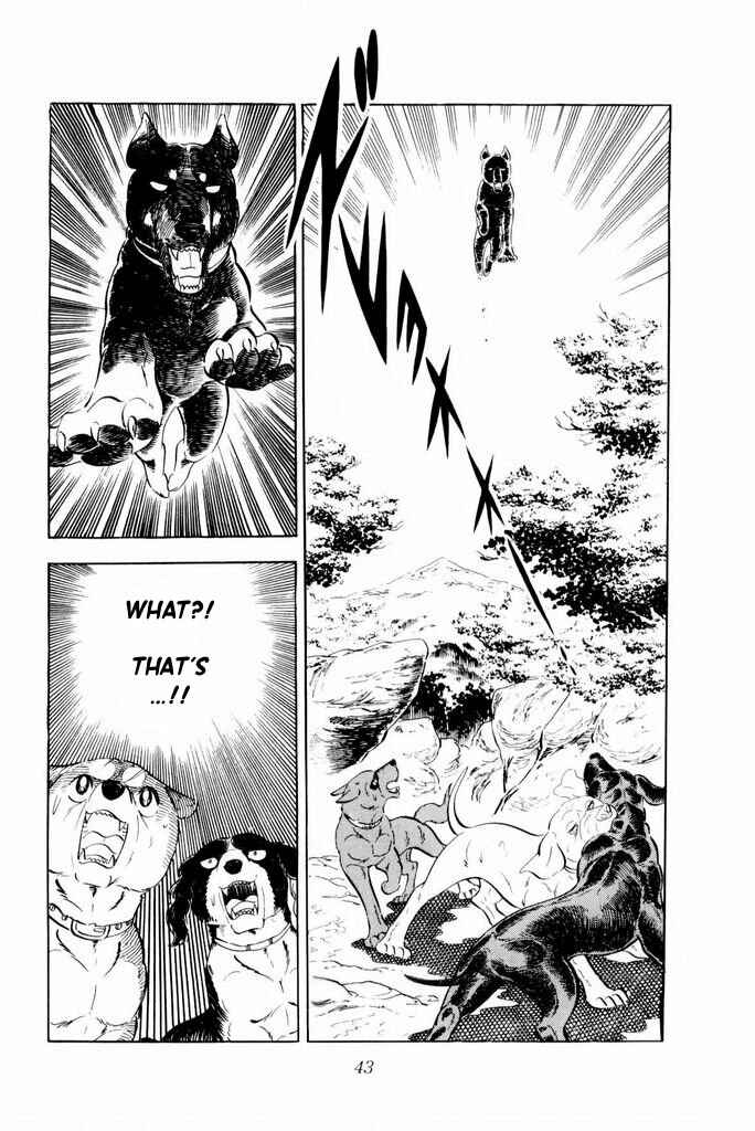 Page 45 Chapter 14 Silver Fang – The Shooting Star Gin –