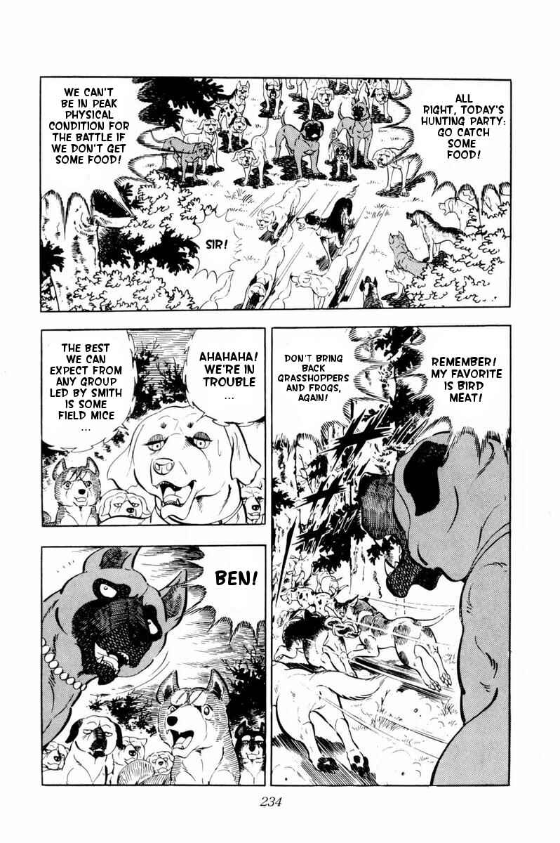 Page 13 Chapter 35 Silver Fang – The Shooting Star Gin –