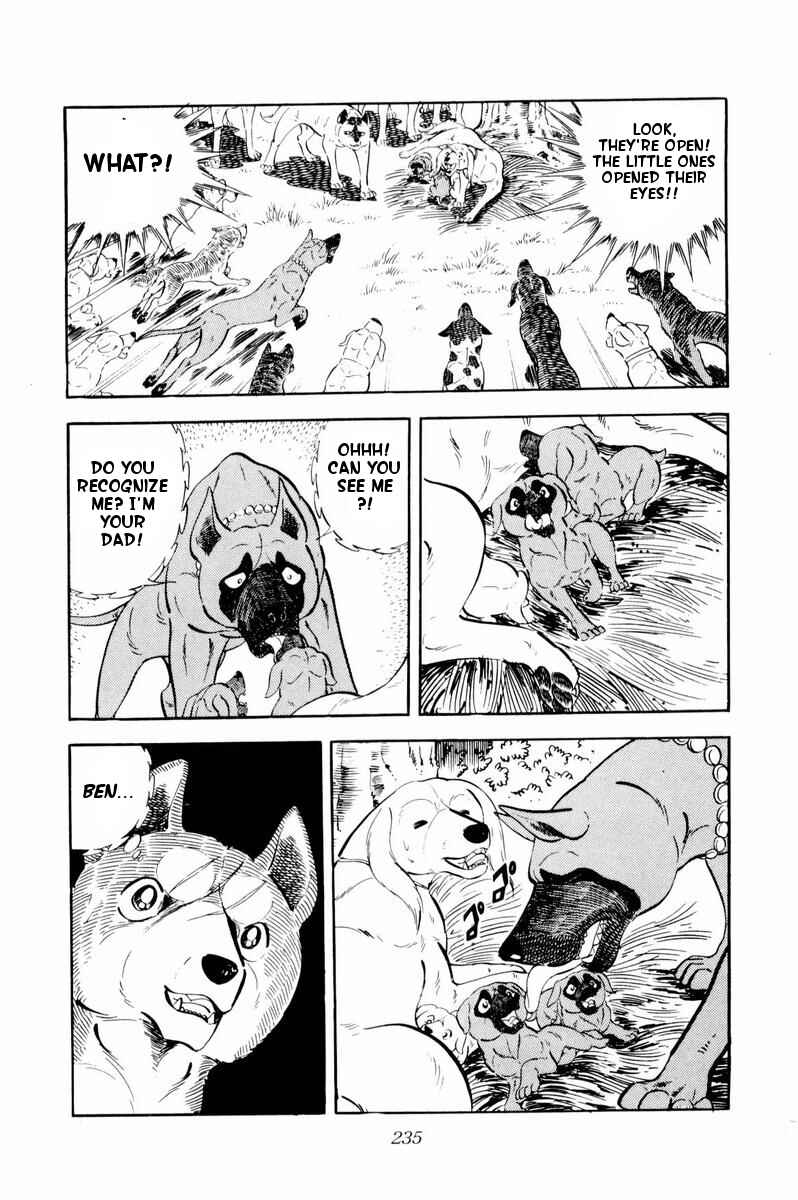Page 14 Chapter 35 Silver Fang – The Shooting Star Gin –