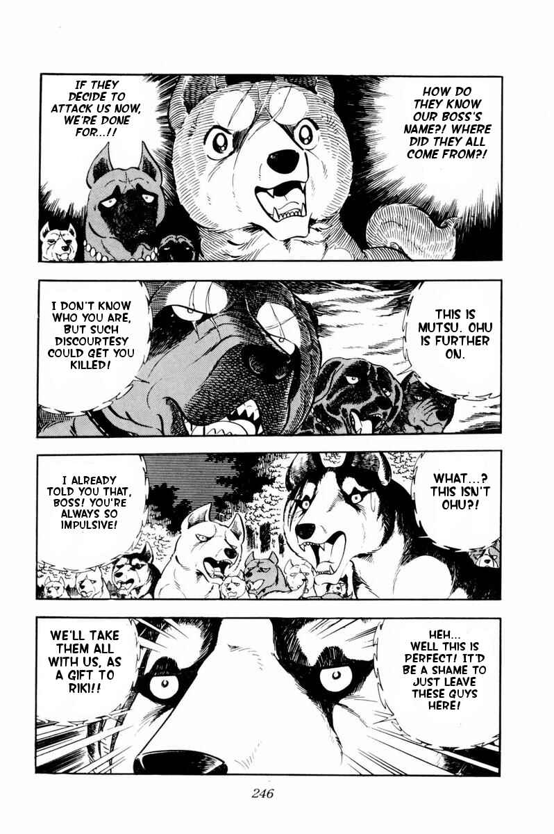 Page 21 Chapter 35 Silver Fang – The Shooting Star Gin –