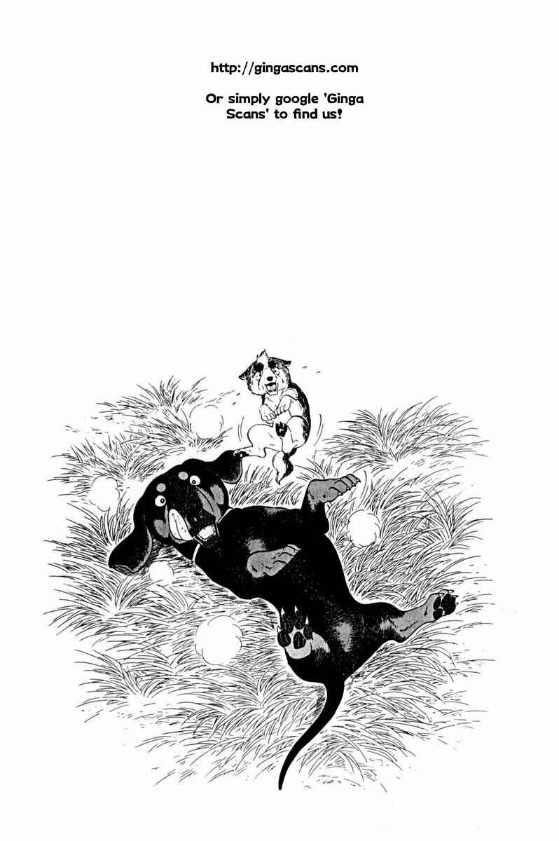 Page 32 Chapter 35 Silver Fang – The Shooting Star Gin –