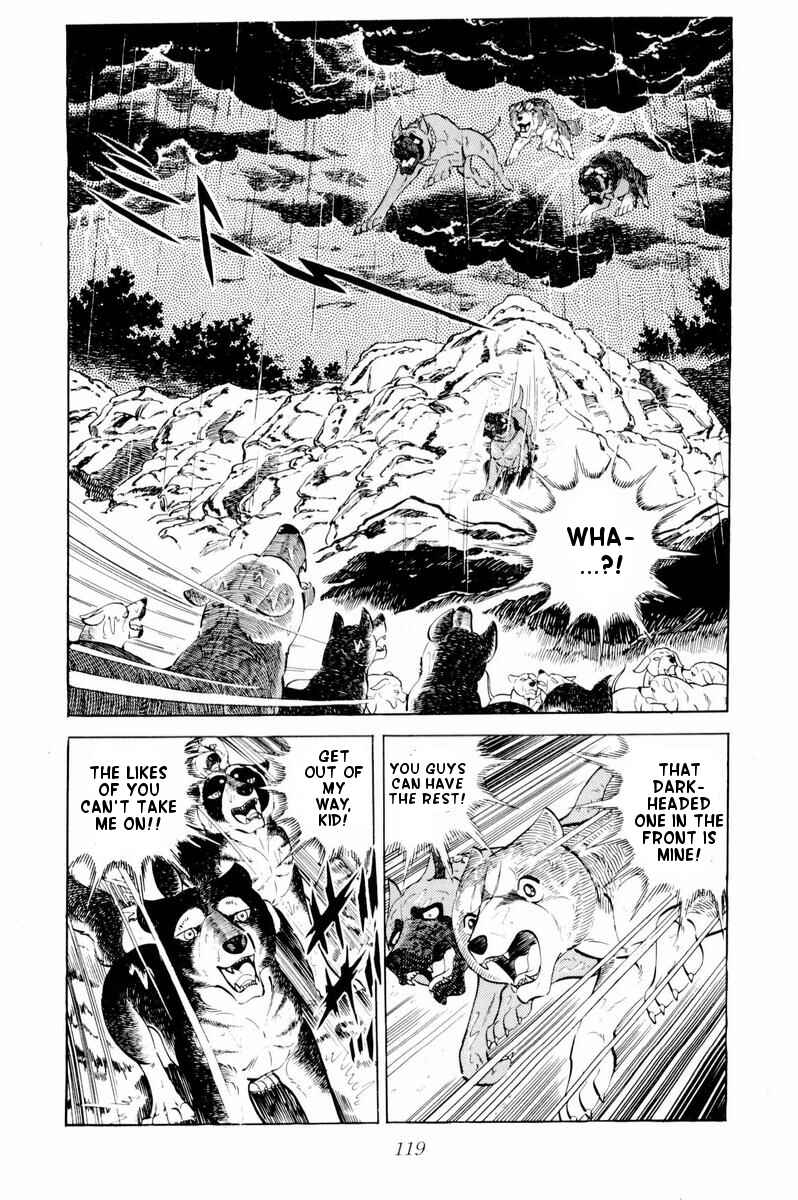 Page 14 Chapter 33 Silver Fang – The Shooting Star Gin –