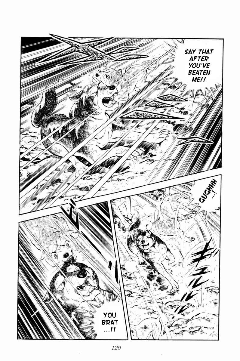 Page 15 Chapter 33 Silver Fang – The Shooting Star Gin –