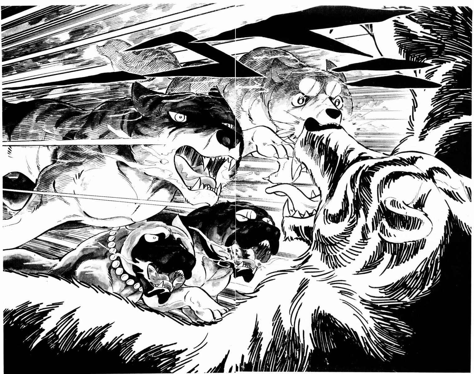 Page 36 Chapter 33 Silver Fang – The Shooting Star Gin –