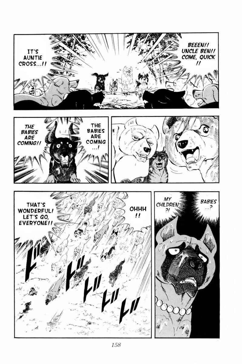 Page 51 Chapter 33 Silver Fang – The Shooting Star Gin –