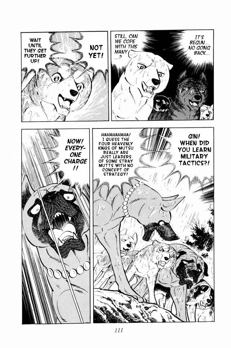 Page 6 Chapter 33 Silver Fang – The Shooting Star Gin –