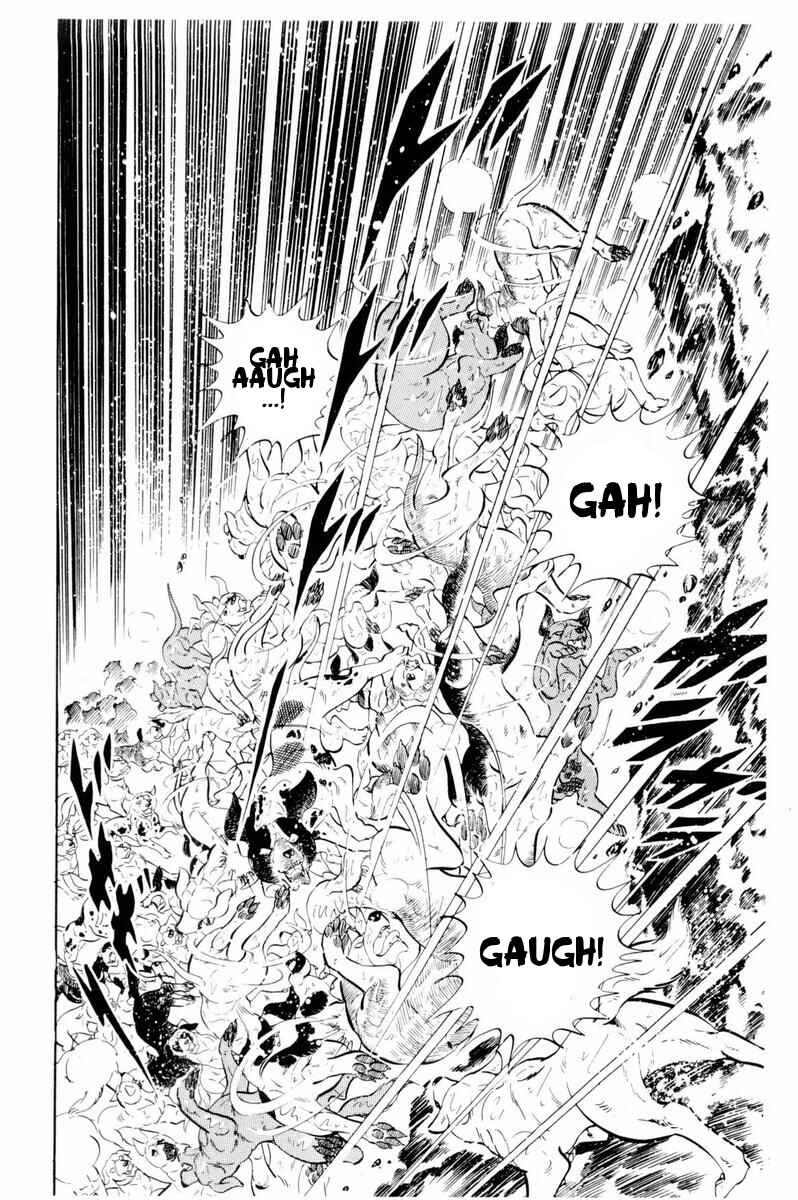 Page 9 Chapter 33 Silver Fang – The Shooting Star Gin –