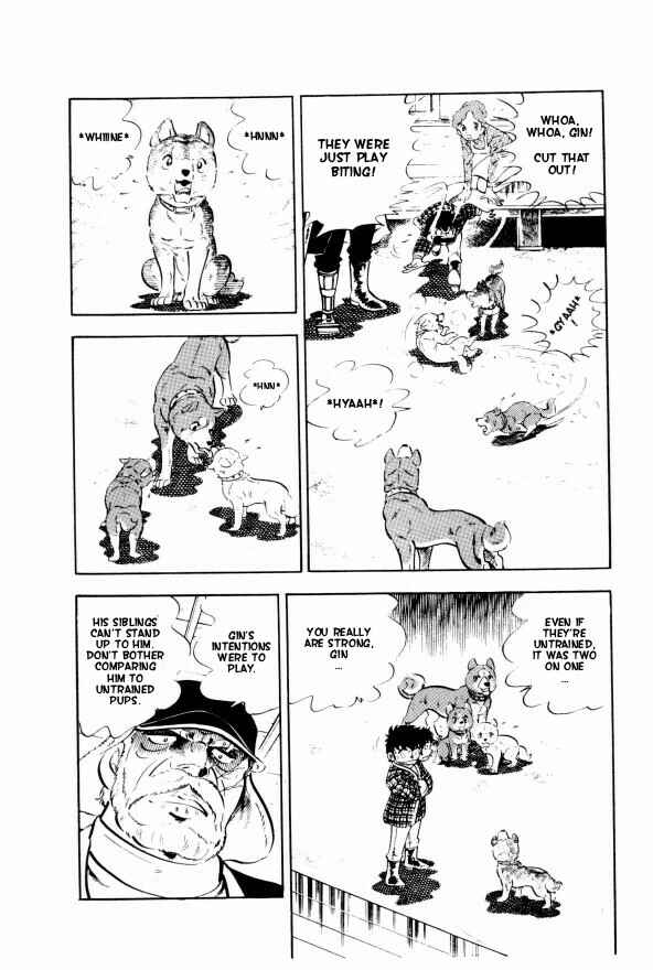 Page 13 Chapter 4 Silver Fang – The Shooting Star Gin –