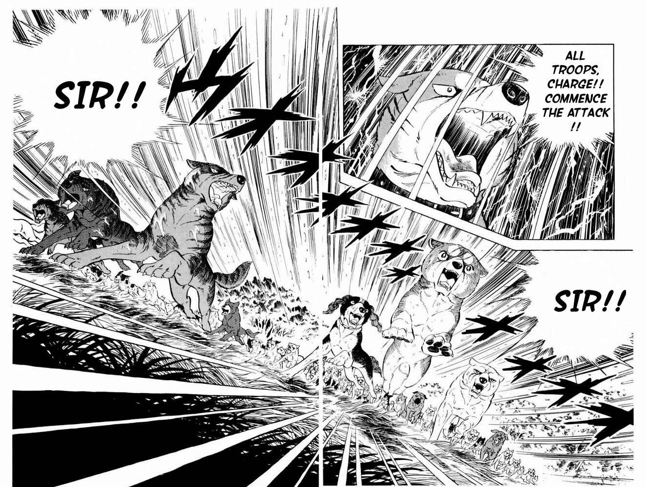 Page 52 Chapter 36 Silver Fang – The Shooting Star Gin –