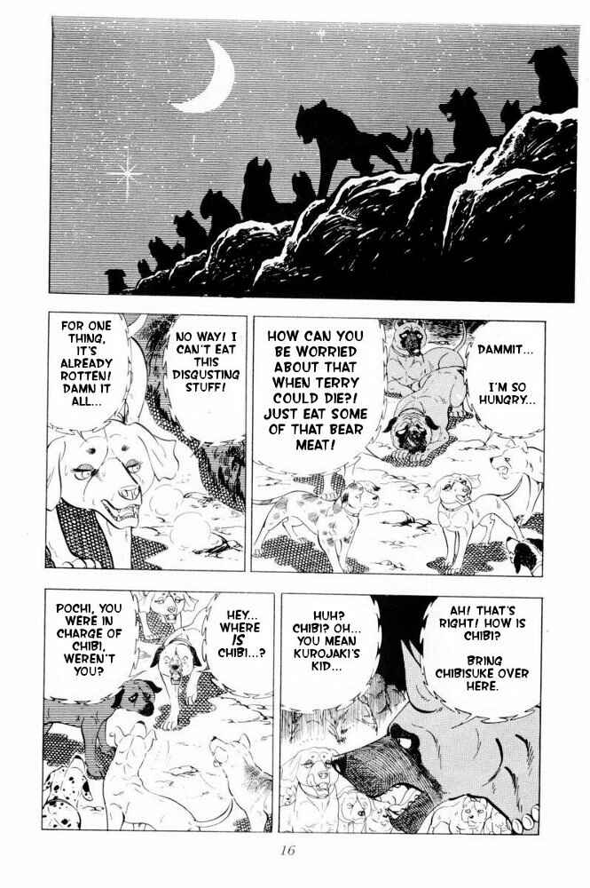 Page 17 Chapter 31 Silver Fang – The Shooting Star Gin –