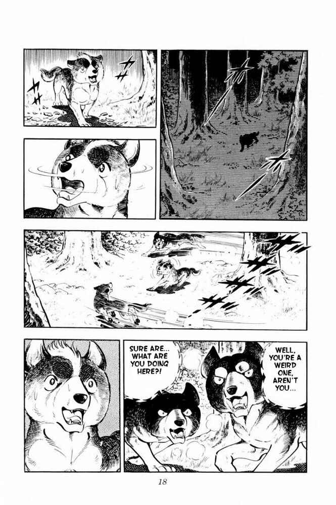 Page 19 Chapter 31 Silver Fang – The Shooting Star Gin –
