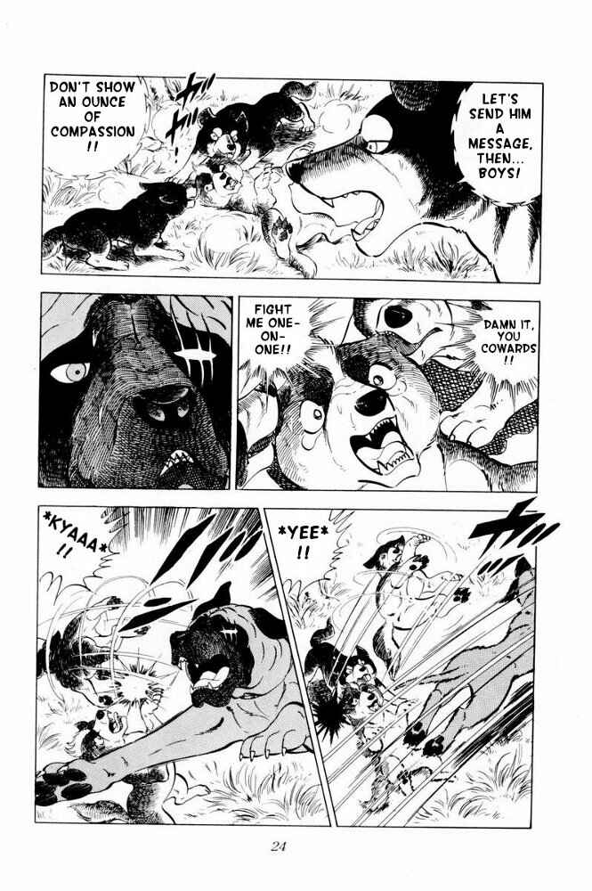 Page 25 Chapter 31 Silver Fang – The Shooting Star Gin –
