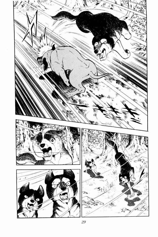 Page 29 Chapter 31 Silver Fang – The Shooting Star Gin –
