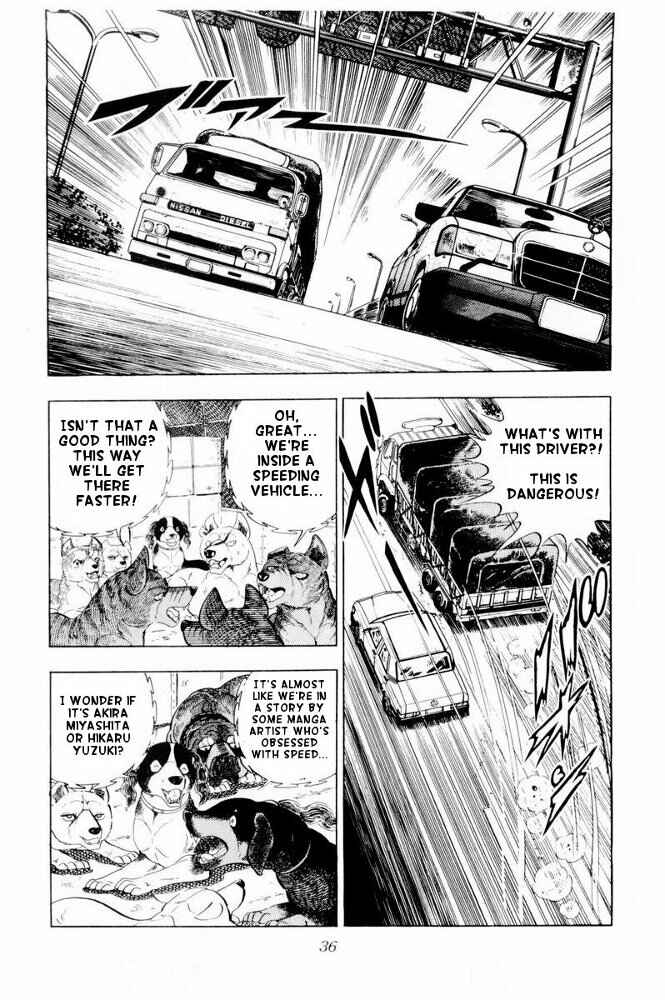 Page 36 Chapter 31 Silver Fang – The Shooting Star Gin –