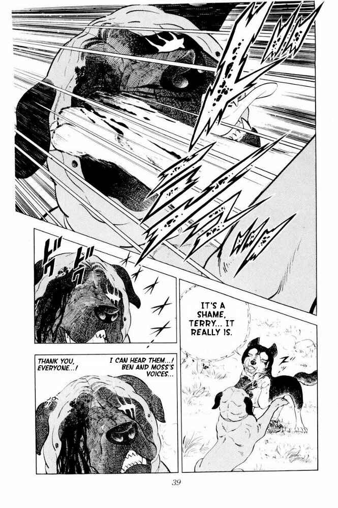 Page 39 Chapter 31 Silver Fang – The Shooting Star Gin –