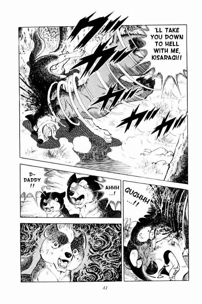Page 41 Chapter 31 Silver Fang – The Shooting Star Gin –