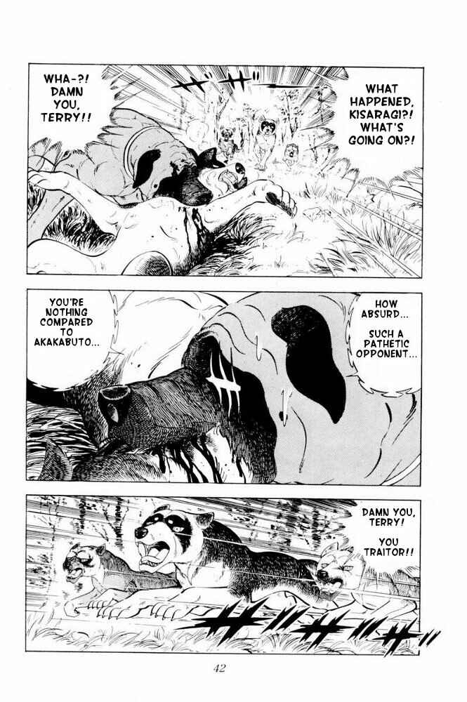 Page 42 Chapter 31 Silver Fang – The Shooting Star Gin –