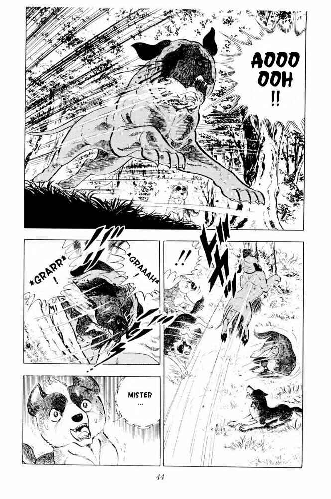 Page 44 Chapter 31 Silver Fang – The Shooting Star Gin –