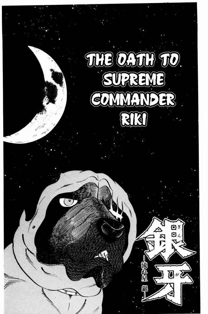 Page 6 Chapter 31 Silver Fang – The Shooting Star Gin –