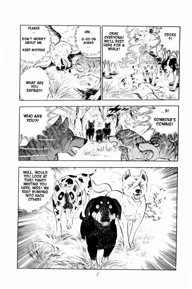 Page 8 Chapter 31 Silver Fang – The Shooting Star Gin –