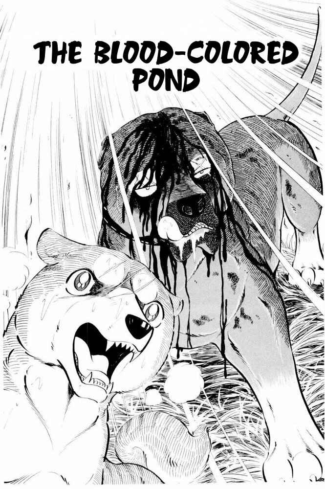 Page 1 Chapter 39 Silver Fang – The Shooting Star Gin –
