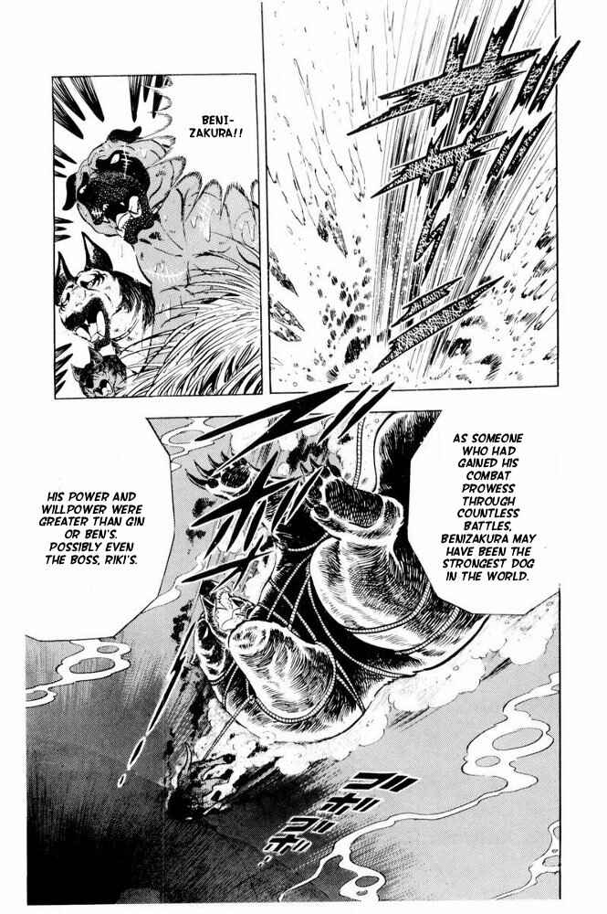 Page 34 Chapter 39 Silver Fang – The Shooting Star Gin –