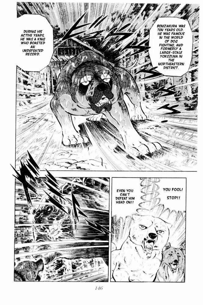 Page 4 Chapter 39 Silver Fang – The Shooting Star Gin –