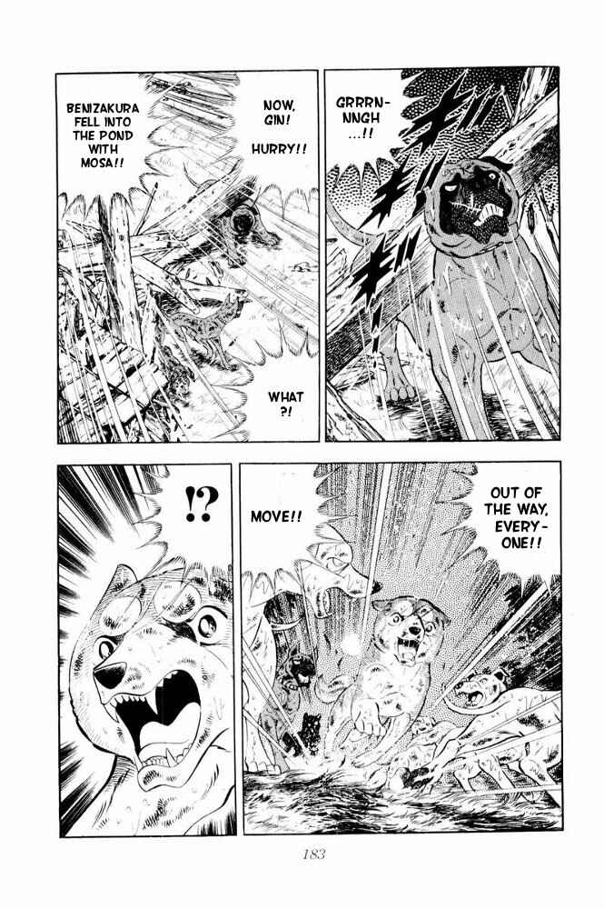 Page 40 Chapter 39 Silver Fang – The Shooting Star Gin –