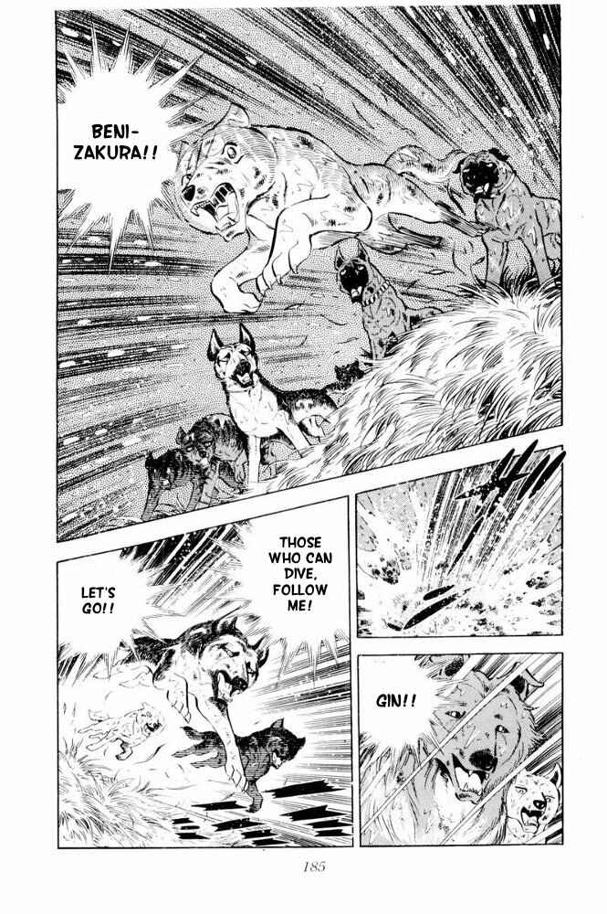 Page 42 Chapter 39 Silver Fang – The Shooting Star Gin –