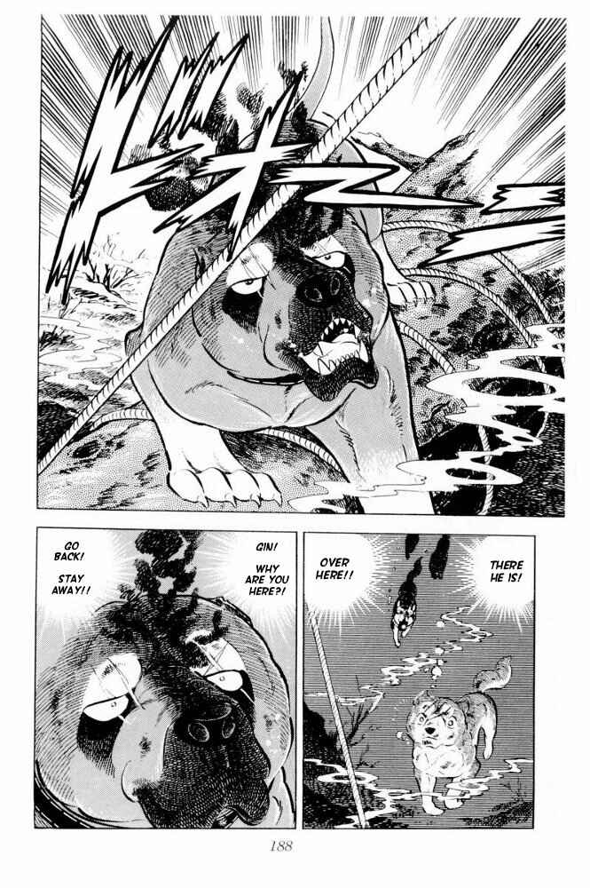 Page 45 Chapter 39 Silver Fang – The Shooting Star Gin –