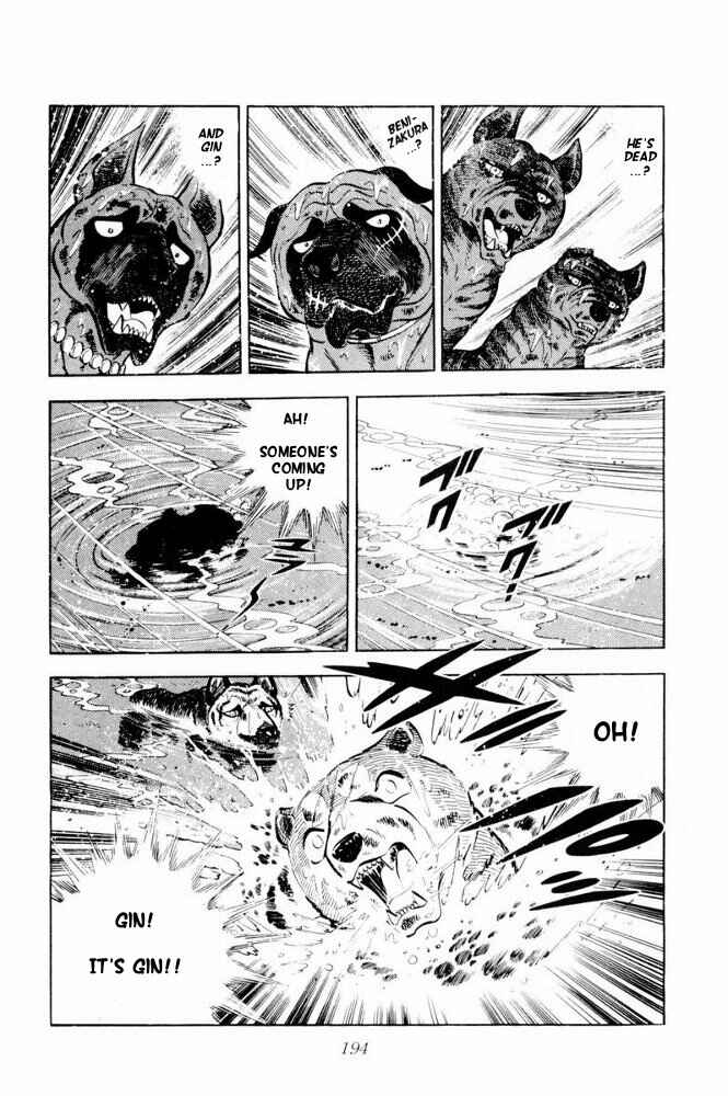 Page 51 Chapter 39 Silver Fang – The Shooting Star Gin –