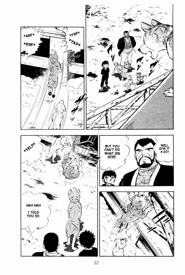 Page 17 Chapter 7 Silver Fang – The Shooting Star Gin –