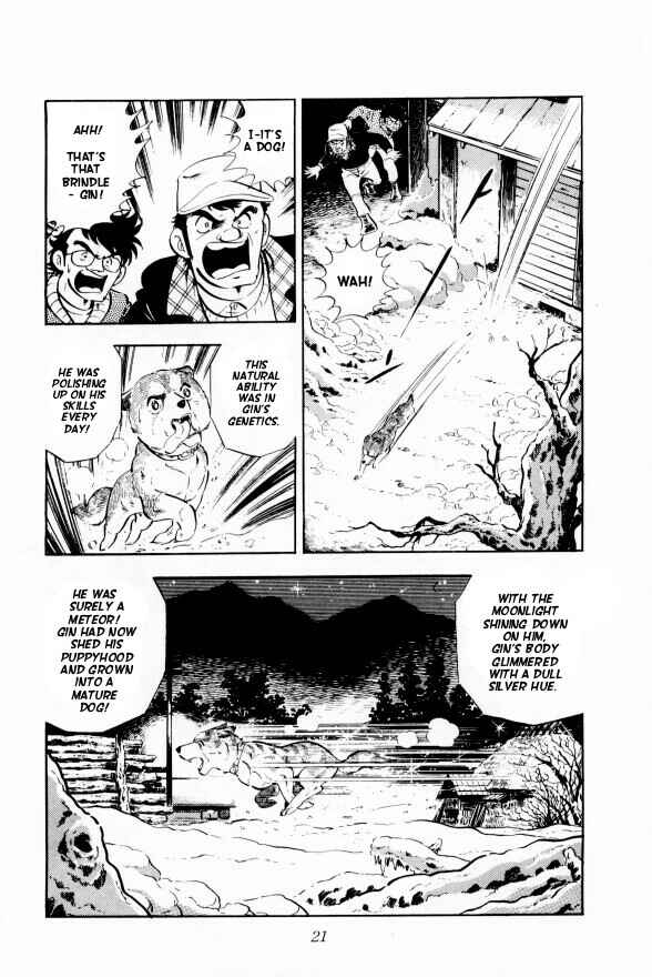 Page 26 Chapter 7 Silver Fang – The Shooting Star Gin –