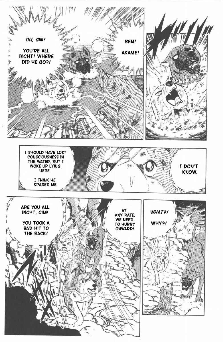 Page 10 Chapter 46 Silver Fang – The Shooting Star Gin –