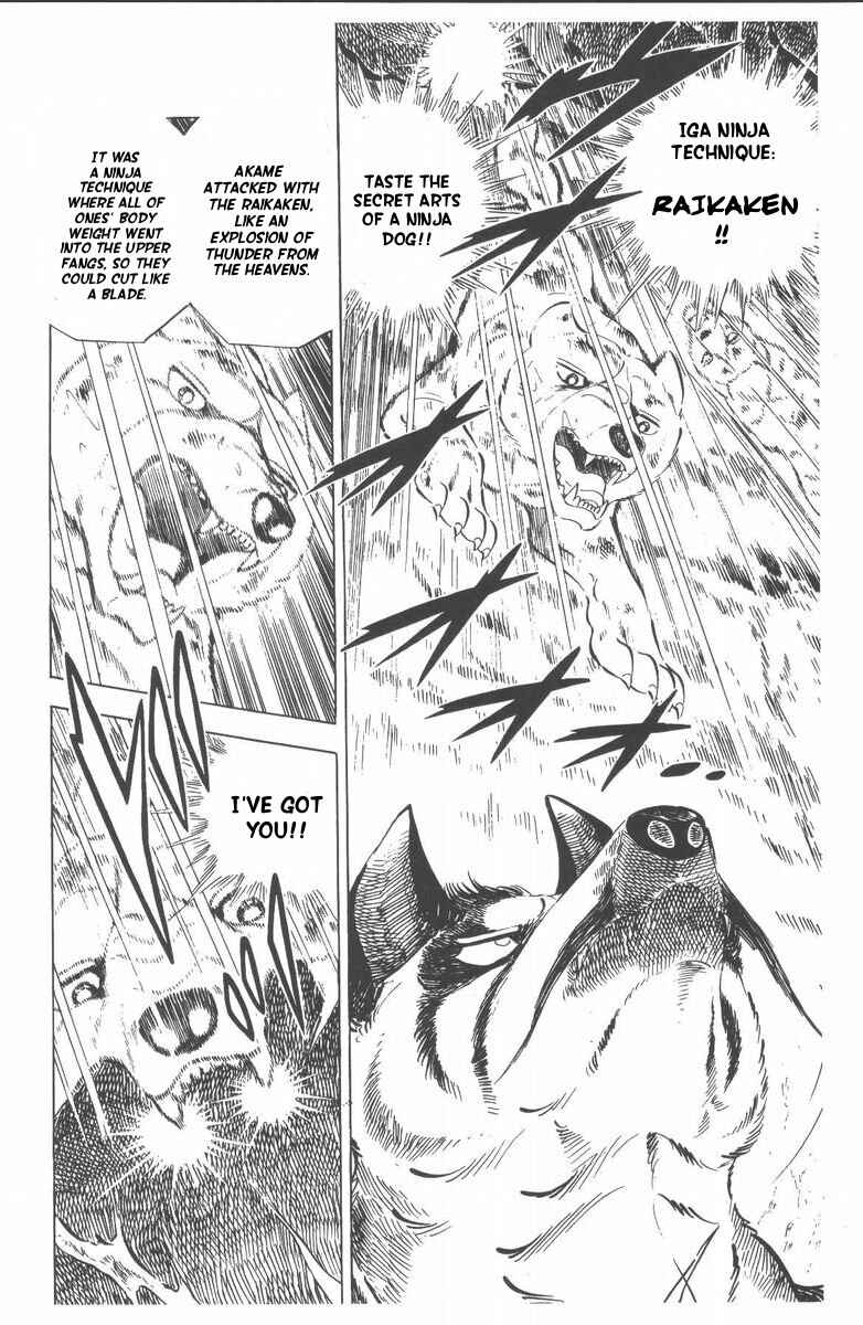 Page 37 Chapter 46 Silver Fang – The Shooting Star Gin –