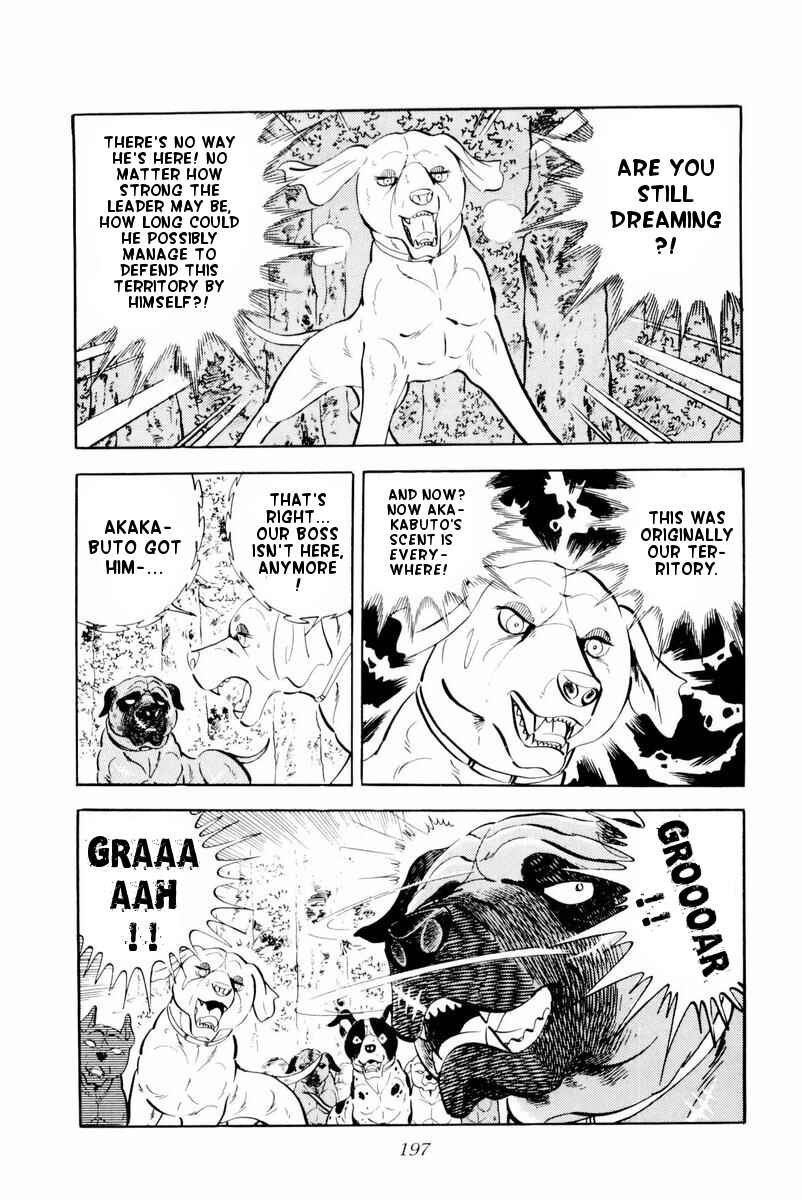 Page 11 Chapter 29 Silver Fang – The Shooting Star Gin –