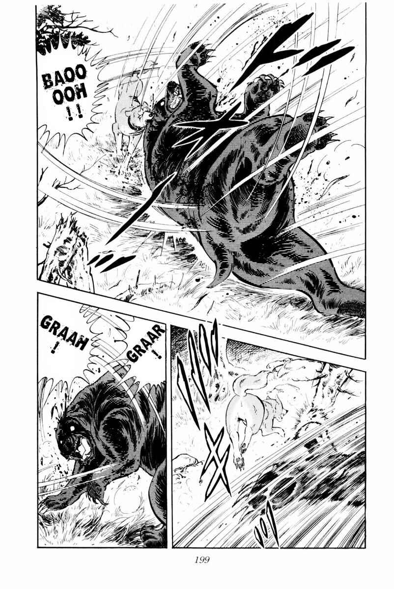 Page 13 Chapter 29 Silver Fang – The Shooting Star Gin –