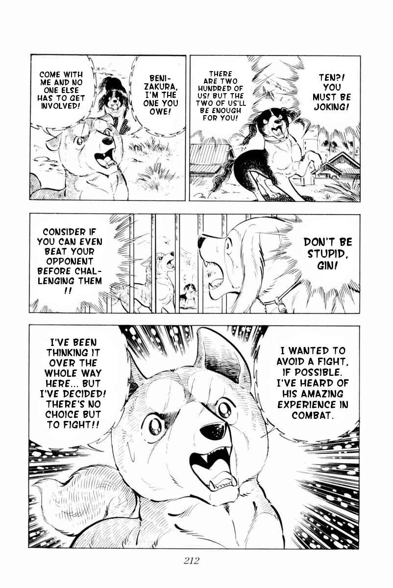 Page 26 Chapter 29 Silver Fang – The Shooting Star Gin –