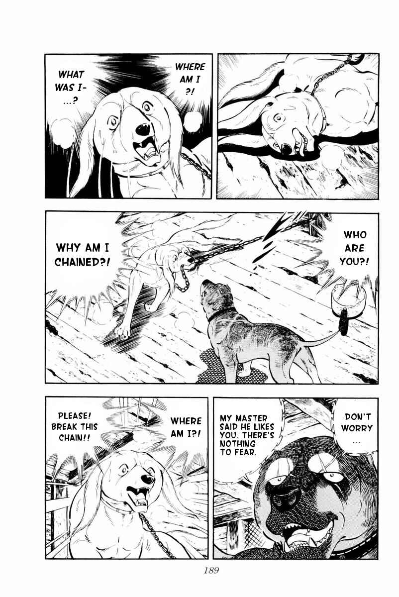 Page 3 Chapter 29 Silver Fang – The Shooting Star Gin –