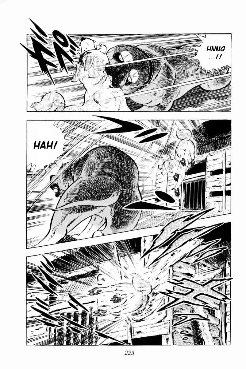 Page 37 Chapter 29 Silver Fang – The Shooting Star Gin –