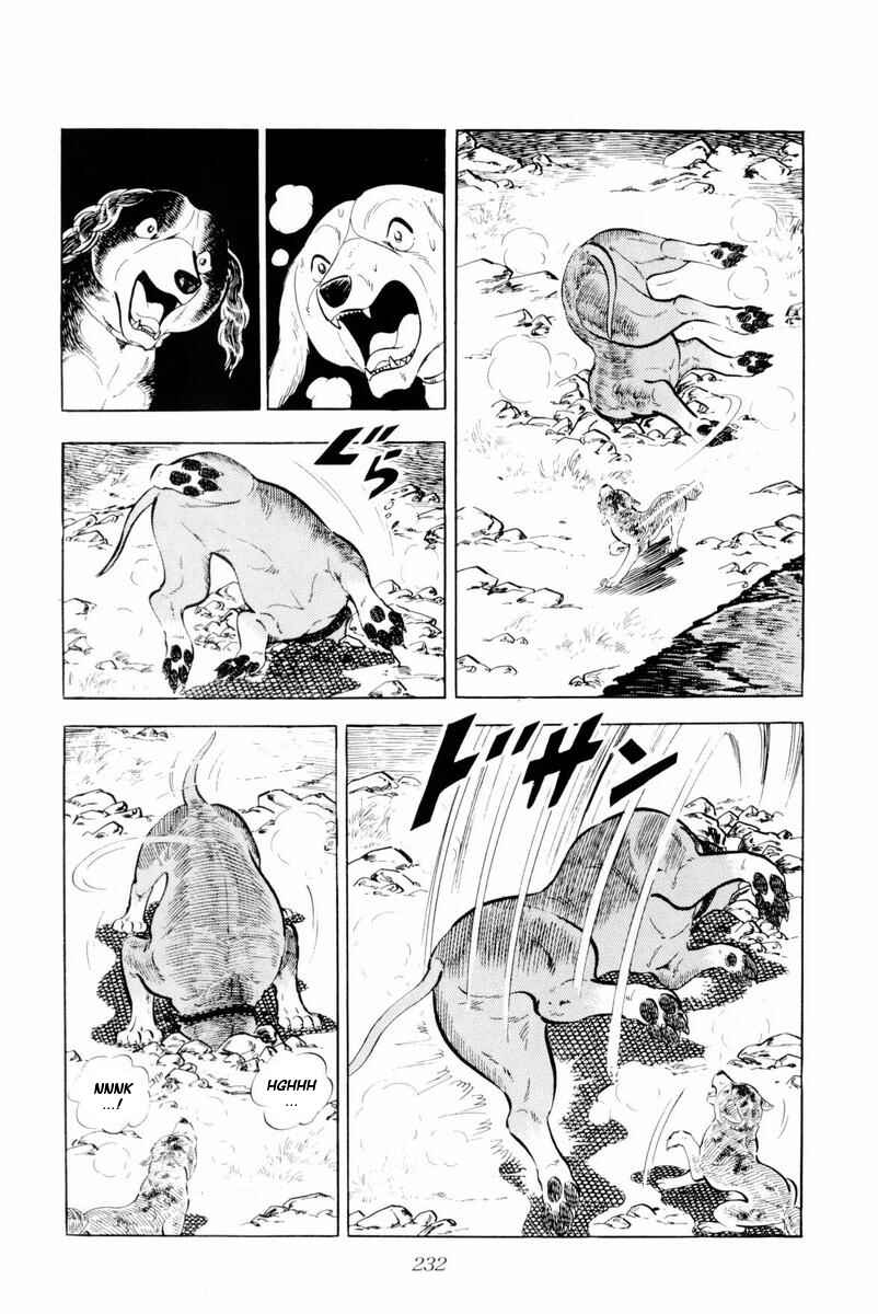 Page 46 Chapter 29 Silver Fang – The Shooting Star Gin –
