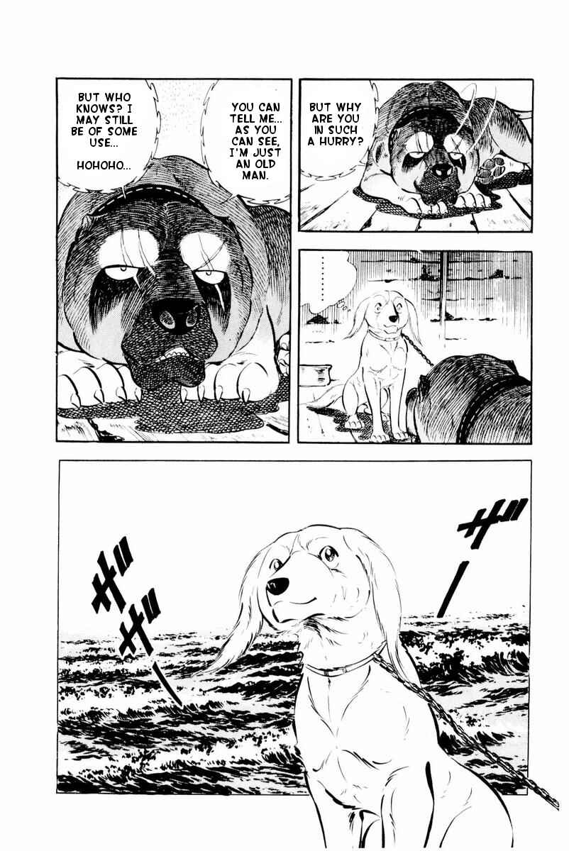 Page 5 Chapter 29 Silver Fang – The Shooting Star Gin –