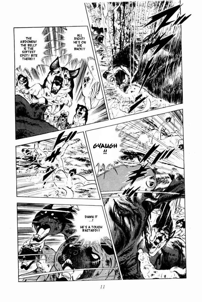 Page 13 Chapter 42 Silver Fang – The Shooting Star Gin –